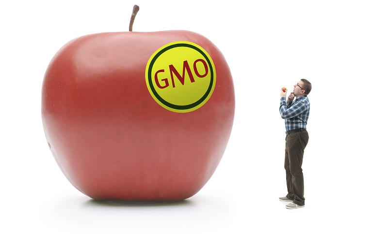GMO, foto shutterstock